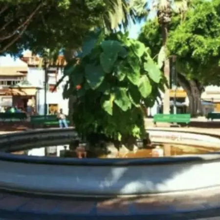 Cozy Harbour View In * Puerto de la Cruz (Tenerife)