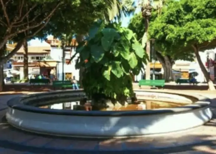 Cozy Harbour View In * 푸에르토 드 라 크루즈